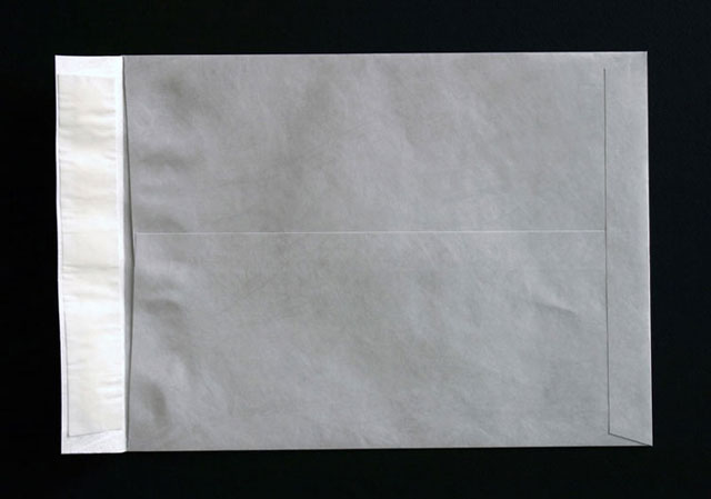 Tyvek Envelope